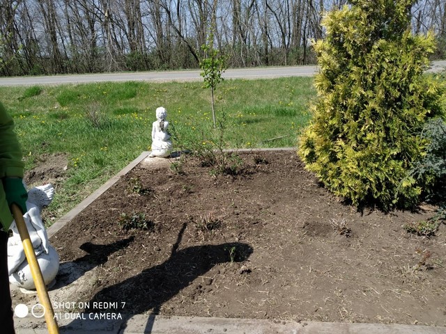 foto 2024 04 18 10 46 004