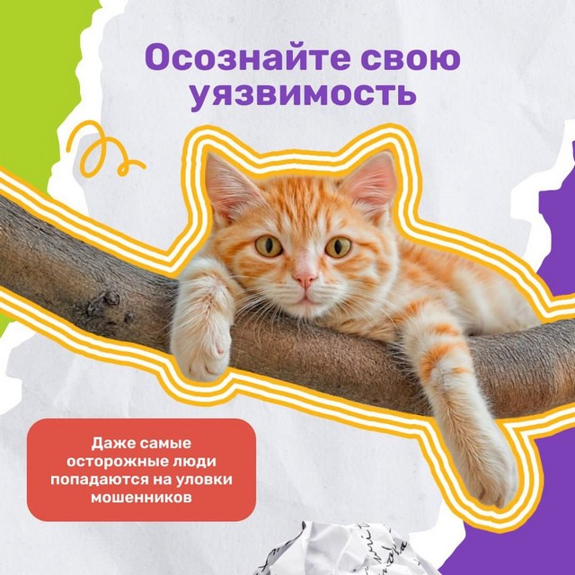 foto 2025 07 17 14 47 002