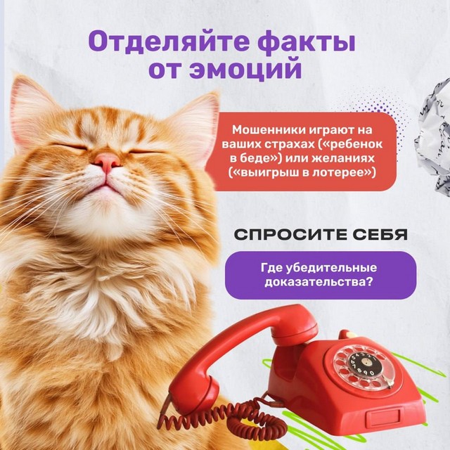 foto 2025 07 17 14 47 003